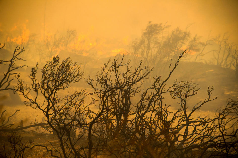 Southern California wildfire forces evacuations