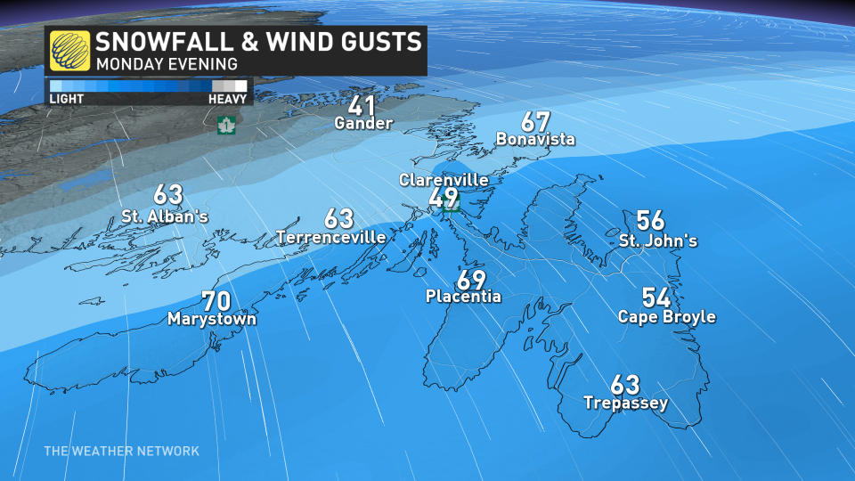 Baron - NL winds Monday night - Jan29.jpg