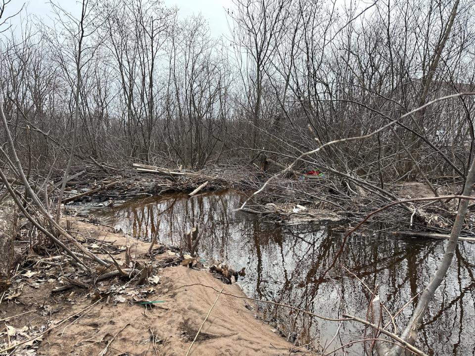 An area where a culvert discharges water from under Highway 2 in Elmsdale after it crosses through  a lumberyard and subdivision. 