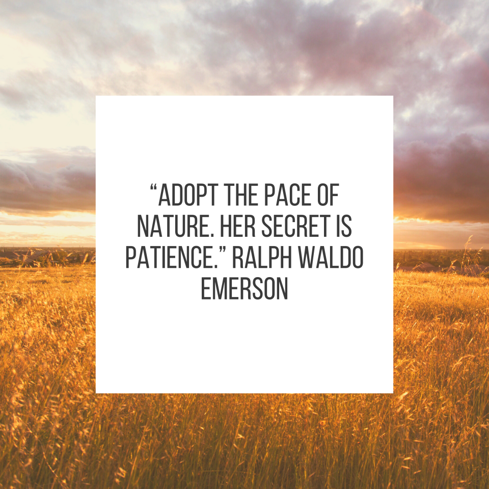 “Adopt the pace of nature. Her secret is patience.” Ralph Waldo Emerson