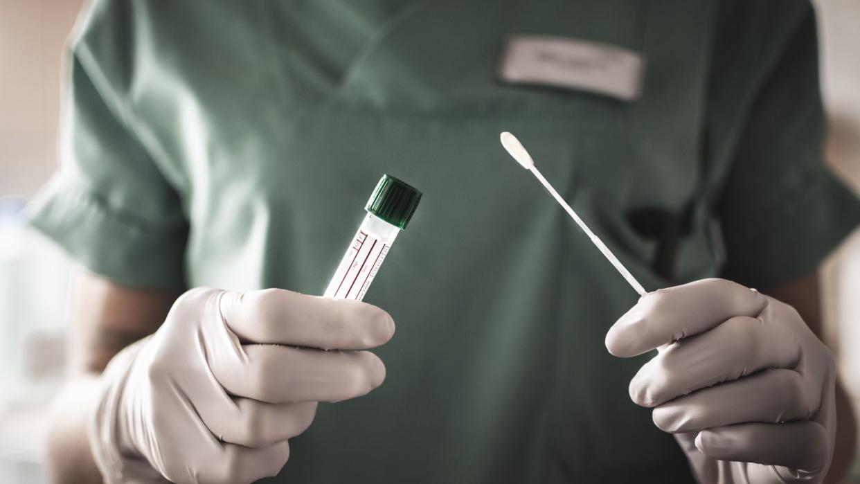 nurse holds a swab for the coronavirus / covid19 test.