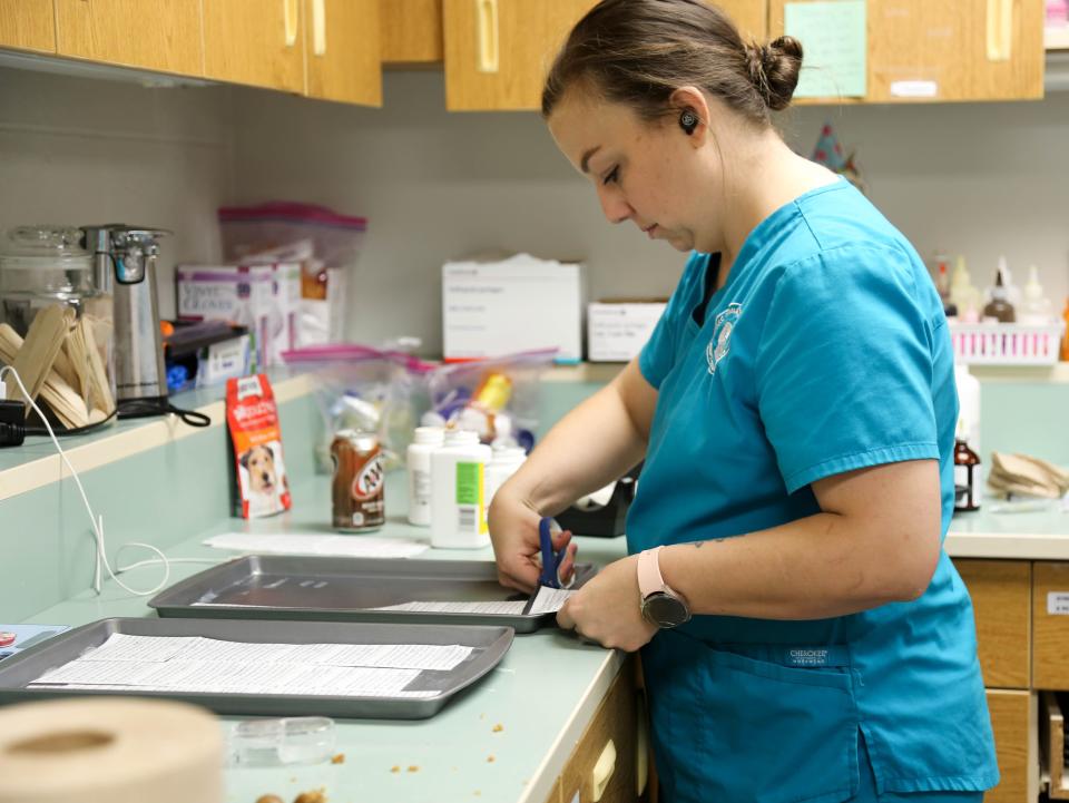 Jessy Brown, veterinary assistant, prepares medicine for dogs July 11 at the Oklahoma City Animal Shelter.