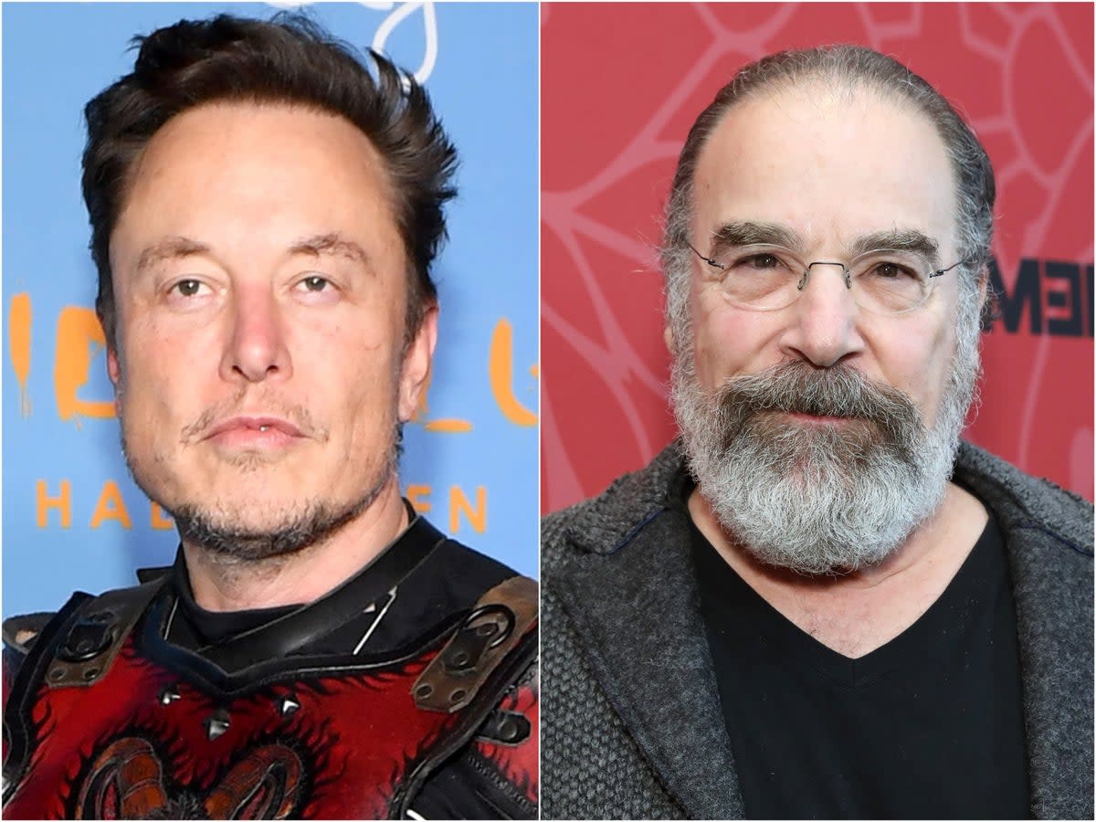 Elon Musk (left) and Mandy Patinkin (Getty Images)