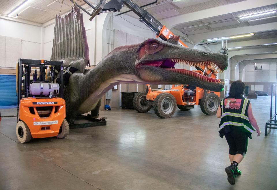 Crews assemble a life-sized Spinosaurus for the Jurassic Quest event at the San Joaquin County Fairgrounds in Stockton. The event runs 12 p.m. to 8 p.m. Friday, Mar. 22, 9 a.m. to 8 p.m. Saturday, Mar. 23, and 9 a.m to 7 p.m. Sunday, mar. 24.