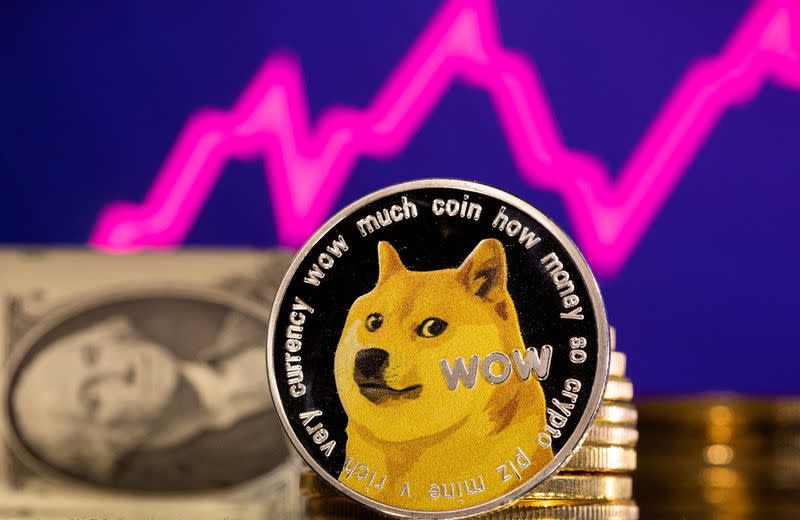 FILE PHOTO: Illustration shows representation of cryptocurrency Dogecoin