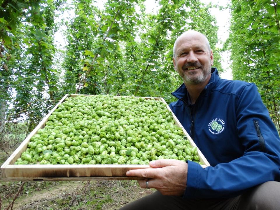 Paul Corbett with a tray of British grown hops. (Credit: Tesco/PA)