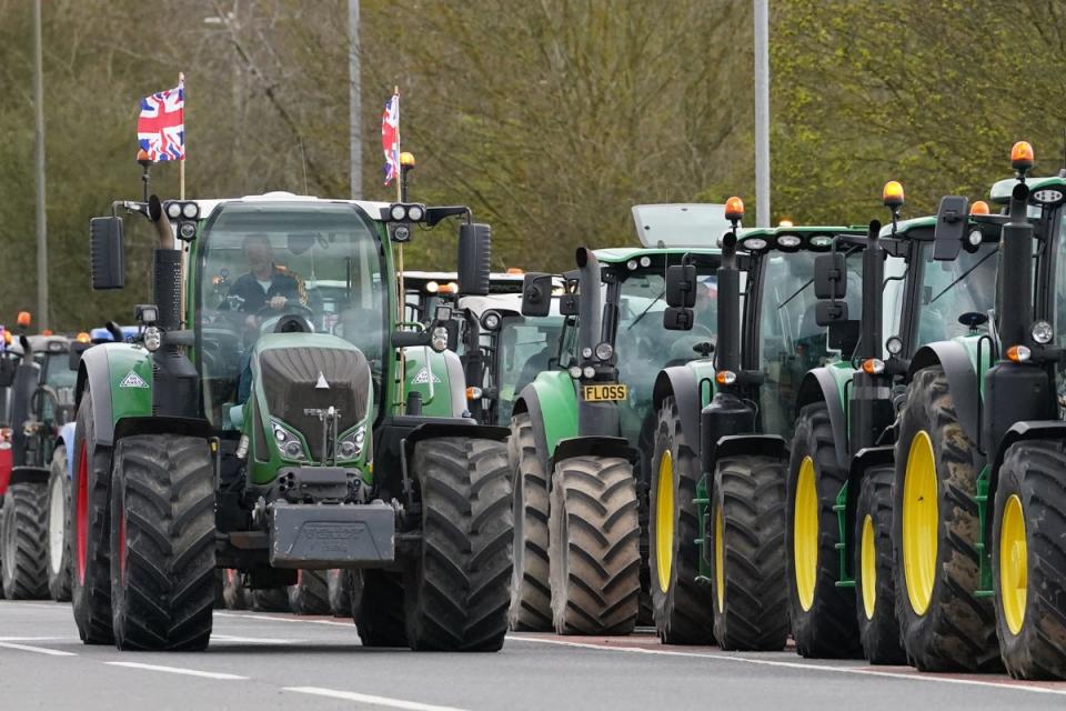 In March, protesting farmers called for ‘a radical change of policy and an urgent exit from these appalling trade deals which will decimate British food’ (Gareth Fuller/PA Wire)