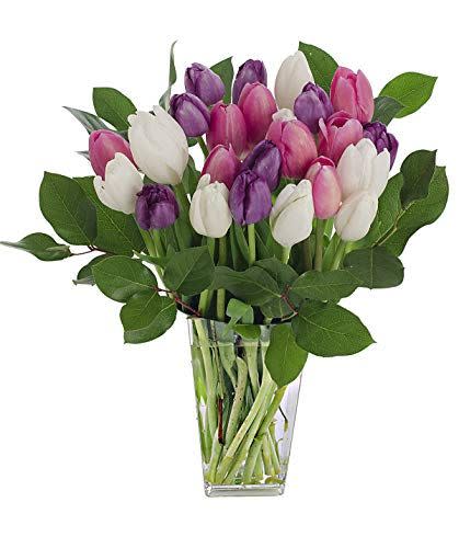 2 Dozen Assorted Tulips With Clear Vase