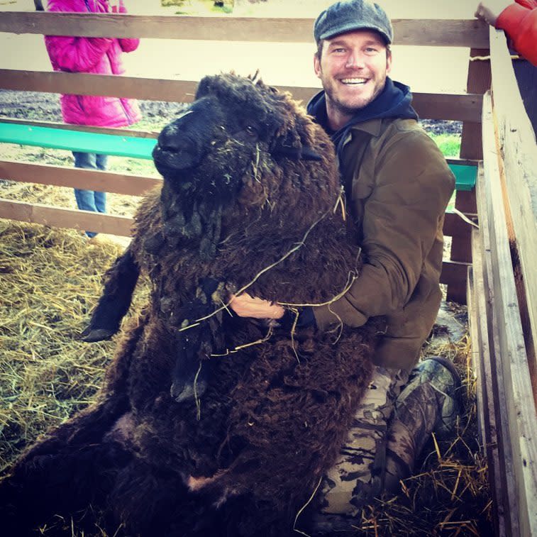 <p>In Chris Pratt steckt ein echter Naturbursche. Auf Instagram postet der Hollywood-Schauspieler neben Fotos von Filmpremieren auch immer wieder Bilder von Angeltrips oder anderen Ausflügen in die Wildnis. Oft mit dabei: sein kleiner Sohn Jack. (Bild: Instagram/prattprattpratt) </p>