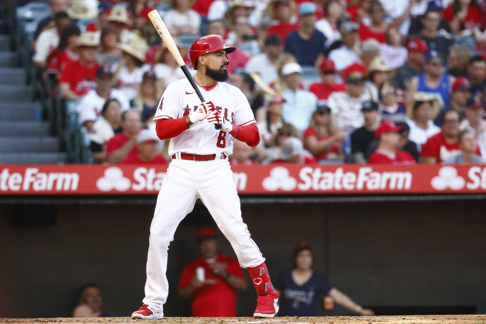 Anthony Rendon。(Photo by Ronald Martinez/Getty Images)