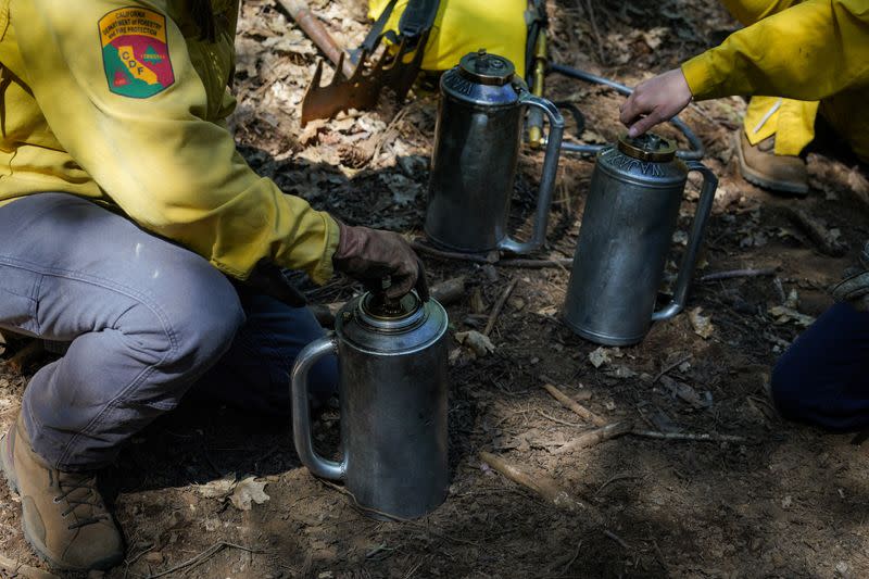 Volunteers learn broadcast burning techniques in Georgetown