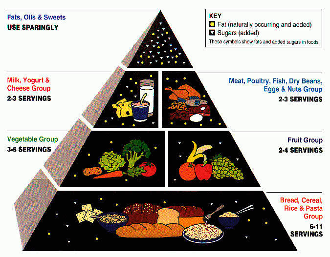 The food pyramid, showing "fats, oils, and sweets" at the top (use sparingly), then dairy (2–3 servings), protein (2–3 servings), fruit (2–4 servings), veggies (3–5 servings), and bread, cereal, rice, and pasta at the bottom (6–11 servings)