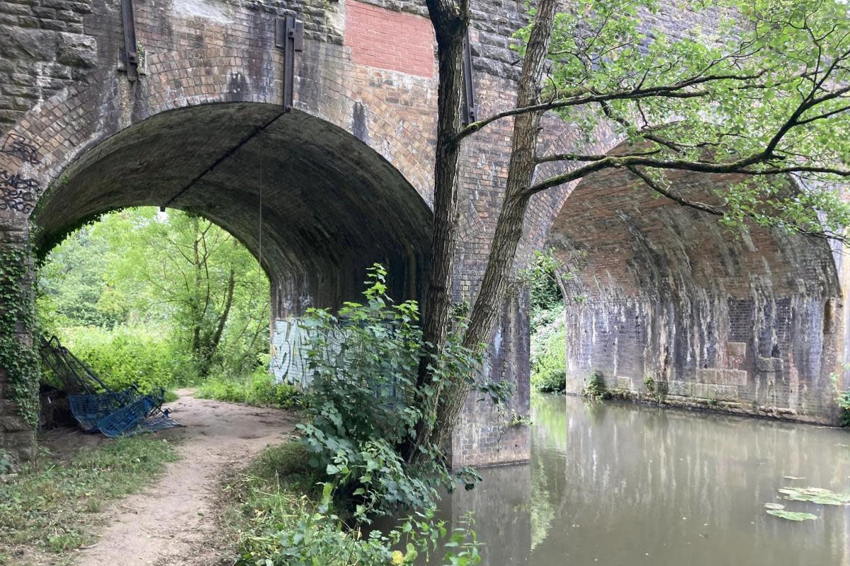 Frome Town Council has unanimously backed plans to purchase a section of land along the river and register it as a public footpath. <i>(Image: Daniel Mumby)</i>