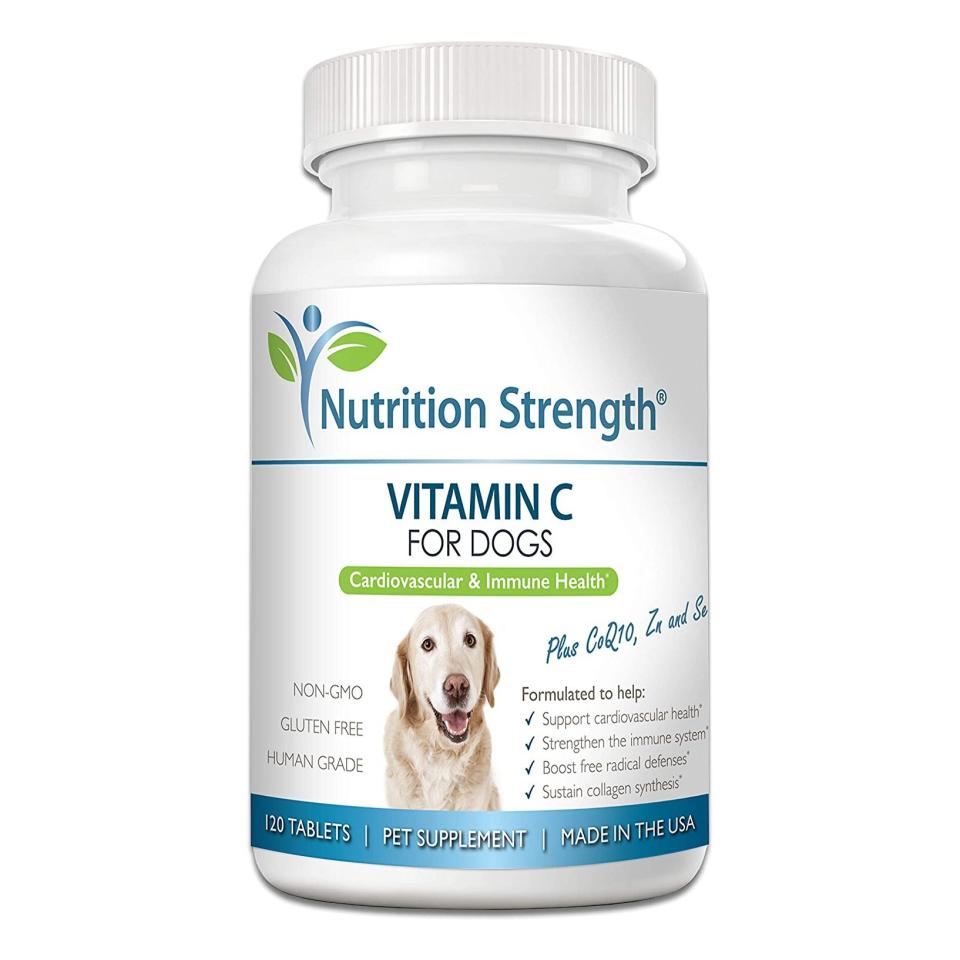 nutrition-strength-vitamin-c-for-dogs
