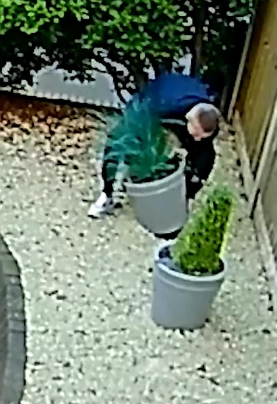 CCTV of a male stealing three plants from a drive in Harborne, Birmingham, before driving off in a silver Ford Focus.  See SWNS story SWMDplants.  Police  want to speak to him after three plant pots were stolen from a drive on Park Hill Road, shortly before 9pm on Sunday 26 July.  He left in a Ford Focus which is believed to be on false plates.