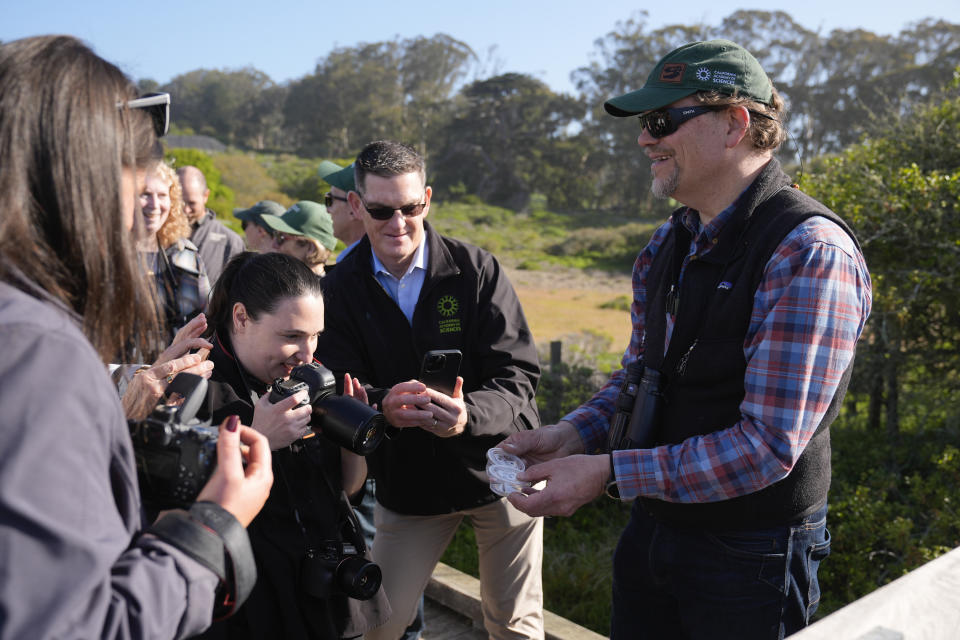 Durrell Kapan, Lead Researcher of Entomology with the California Academy of Sciences, holds a pair silvery blue butterflies, the closest relative to the extinct Xerces blue butterfly, before their release in the Presidio's restored dune habitat in San Francisco, Thursday, April 11, 2024. (AP Photo/Eric Risberg)