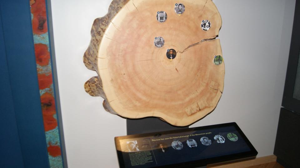 This "tree cookie" was cut from a 191-year-old tree from the Menominee Forest and is on display at the Field Museum in Chicago.