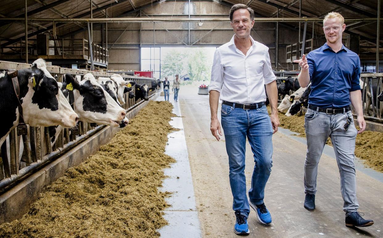 Dutch Prime Minister Mark Rutte visits a dairy farm before a discussion with farmers about the nitrogen plans in Koudum - AFP