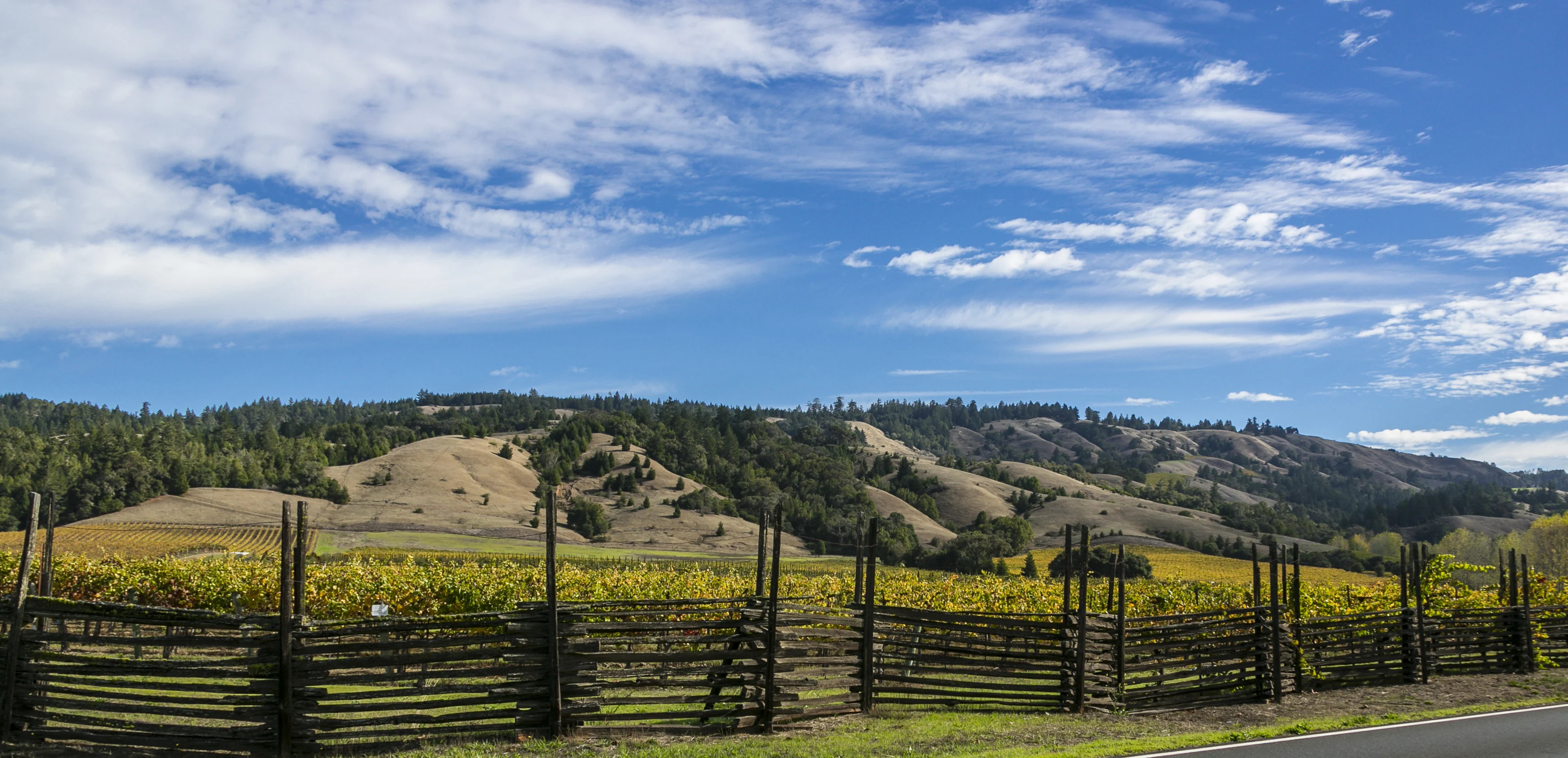 The 6 Best Wineries in California's Anderson Valley