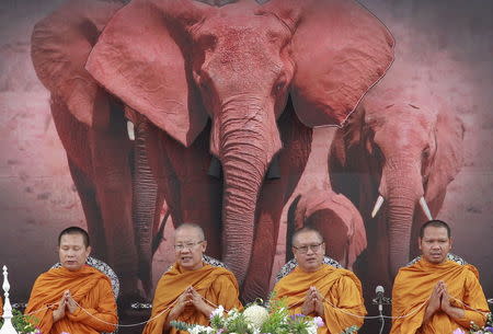 Buddhist monks pray during an ivory destruction ceremony at the Department of National Parks, Wildlife and Plant Conservation, in Bangkok, Thailand, August 26, 2015. REUTERS/Chaiwat Subprasom