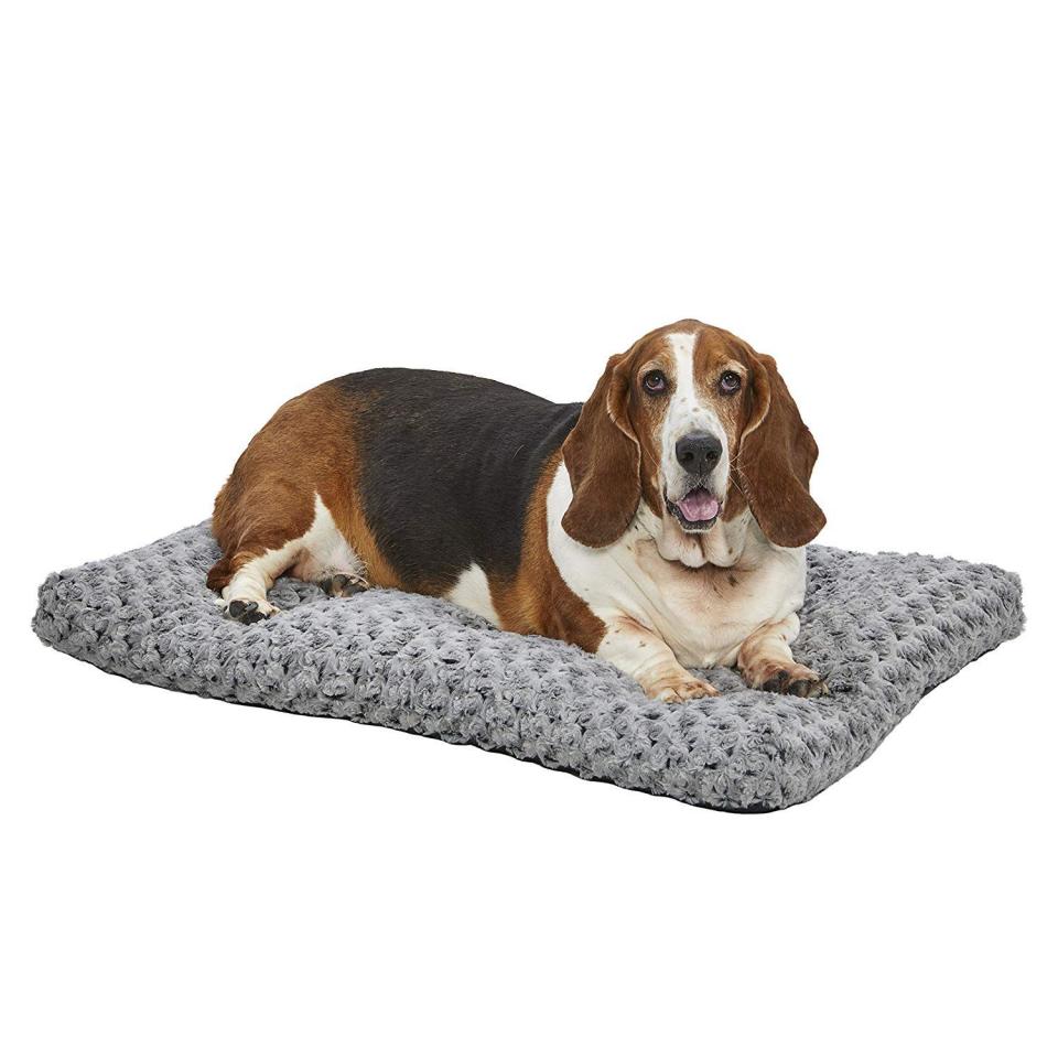 Plush Dog Bed