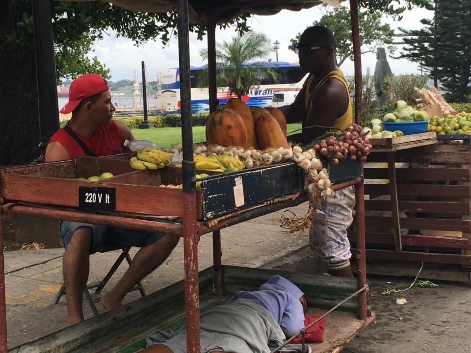 Napping under the fruit bins