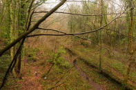 A dog walker strolls along the track-bed at the site of the shut-down former train station at West Meon in Hampshire