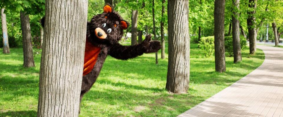 actor dressed as bear peeking out from behind a tree in a park with lots of trees and stone path