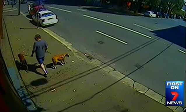 Victim Karl Nissen walked his two dogs on a Saturday morning in September 2014, unaware of the danger that was to come. Photo: 7 News