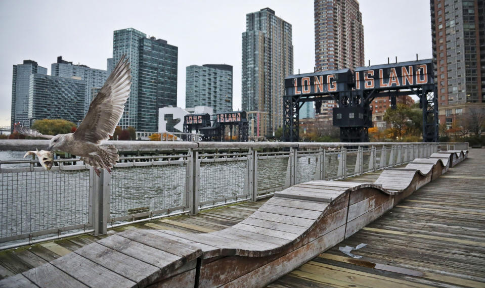 FILE - This Nov. 13, 2018 file photo shows a seagull flying while holding fish scraps near a former dock facility, with "Long Island" painted on old transfer bridges at Gantry State Park in the Long Island City section of the Queens Borough of New York. Gov. Andrew Cuomo warns that what he calls “political pandering” to critics of Amazon’s proposed secondary headquarters could sink New York’s biggest-ever economic development deal. But opponents say they’ll keep fighting a project they see as corporate welfare. Friday’s back-and-forth came after The Washington Post reported that Amazon is reconsidering its planned New York City headquarters because of opposition from local politicians. (AP Photo/Bebeto Matthews, File)