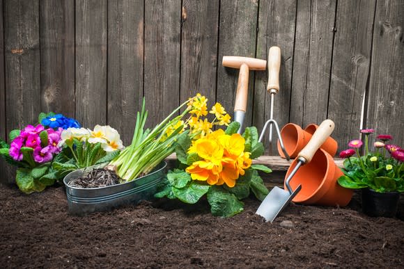 Home gardening tools in fresh soil.