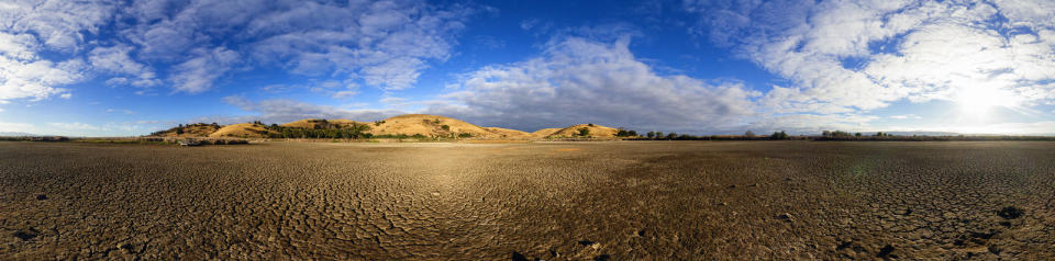 Coyote Hills RP, Fremont, CA July 13, 2014.  