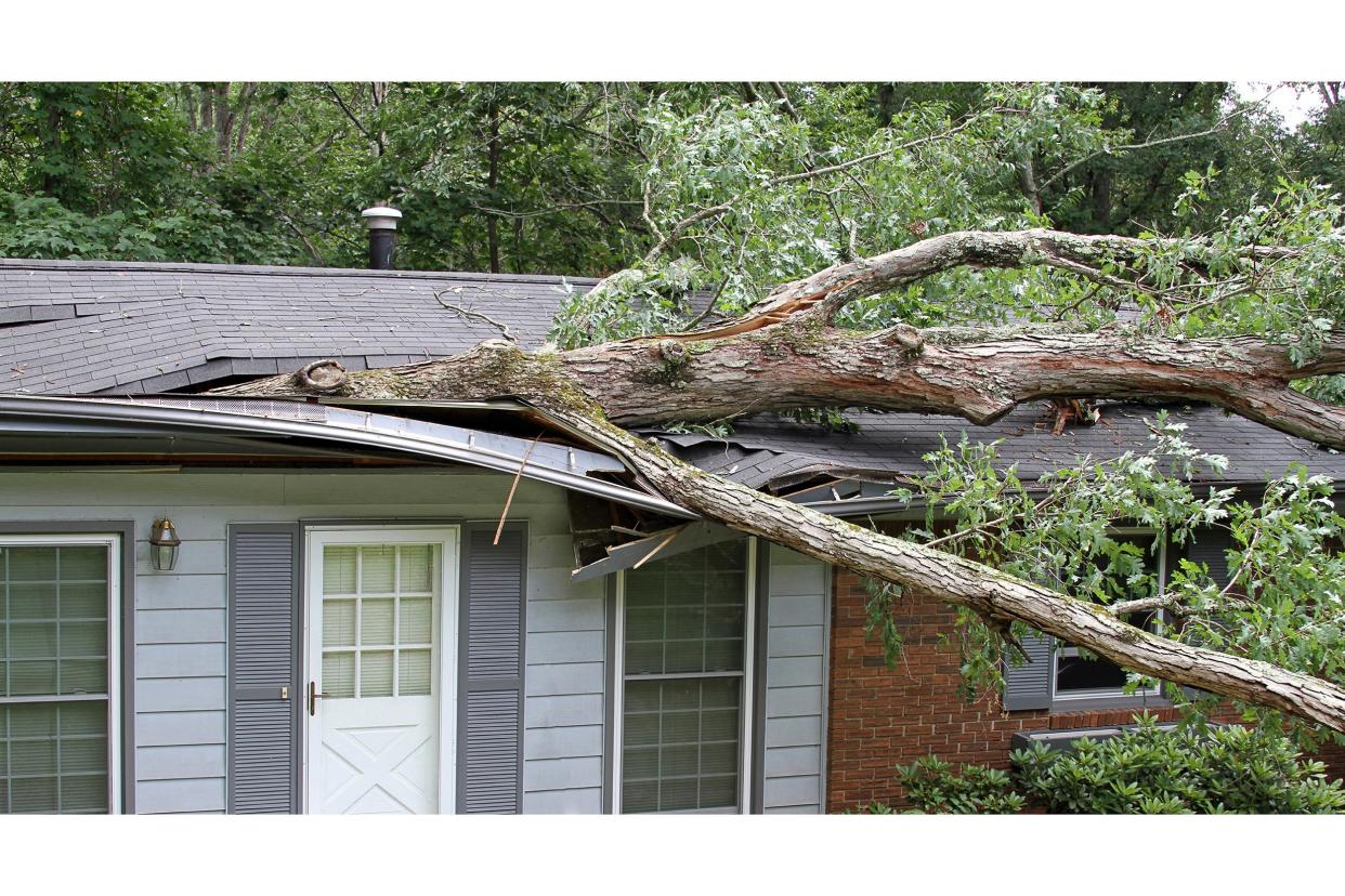 Tree fallen on the roof of a small house