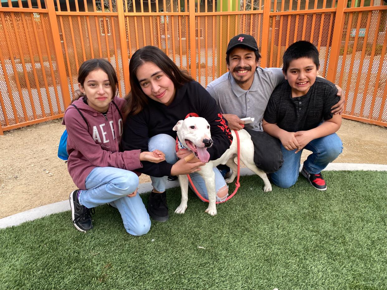 Christy Cabada, her husband Jaime Maravilla, her son Leo and niece Beverly pose with Hades on Feb. 13, 2023, after being reunited with the now-famous dog this week. Hades had been living among a pack of coyotes in the Nevada desert for at least six months before he was rescued by concerned residents.