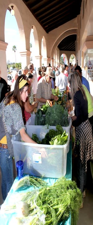 Ajo farmers’ market (Deborah Fallows / The Atlantic)