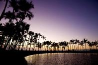 The stunning Kauna'oa Bay is a crescent-shaped white sand beach on the western coast of Hawaii. 