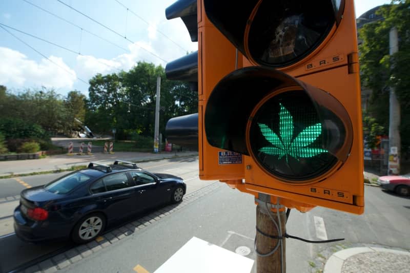 Legalization of recreational marijuana usage appears to come hand in hand with a rise in workplace accidents, according to US figures. Peter Endig/dpa