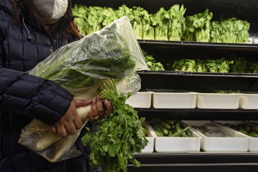 FARGO, N.D. - APRIL 13, 2021: A customer buying sher li hon (mustard greens), daikon, and cilantro at the Himalayan Grocery in Fargo, N.D.