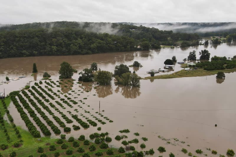 Drone picture of orange orchards and houses that are submerged near Hawkesbury River in northwestern Sydney