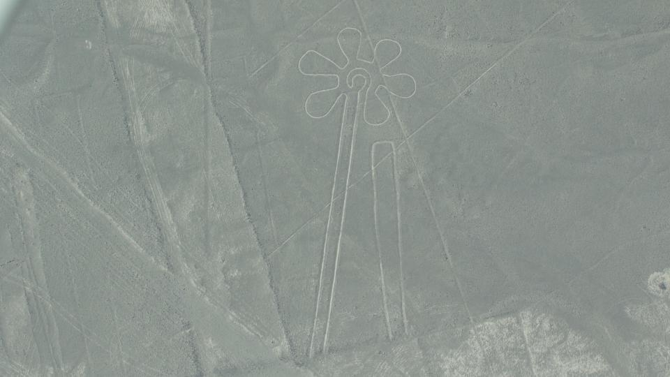 Aerial photo of Nazca lines in Peru. This geoglyph looks like a line drawing of a sunflower.