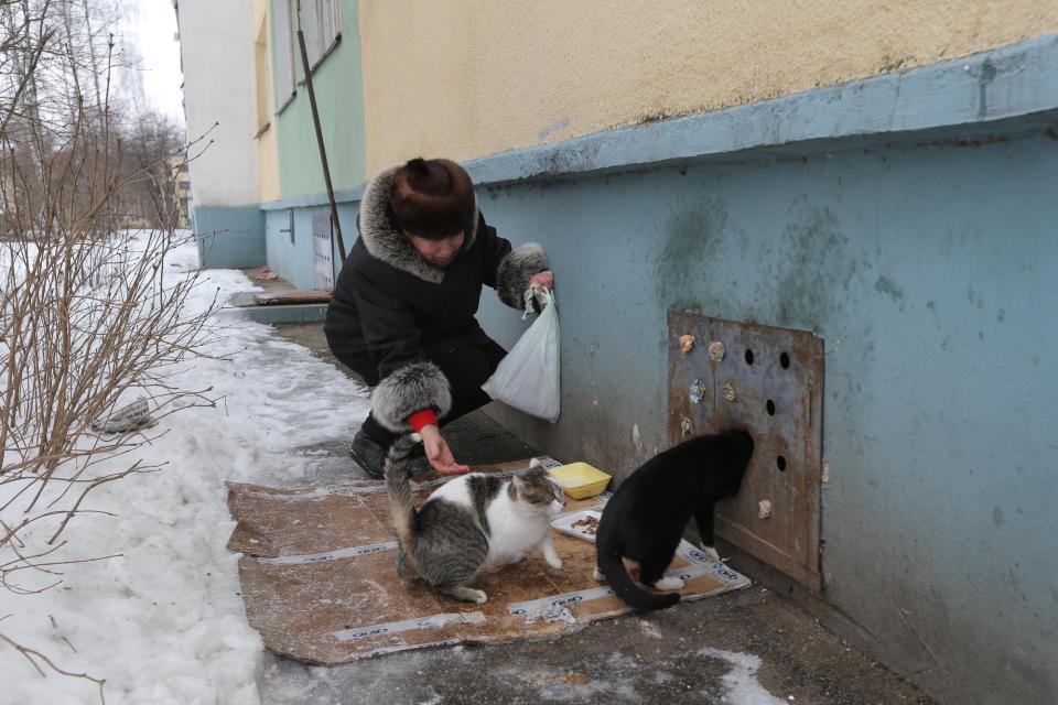 Antonina Gayenko feeds cats outside an apartment building in the Belarusian capital Minsk, Monday, Feb. 4, 2013. Municipal authorities in Belarus have walled up stray cats in basements in compliance with Soviet-era regulations, dooming them to death of hunger. But some residents made holes for cats to escape. (AP Photo/Sergei Grits)