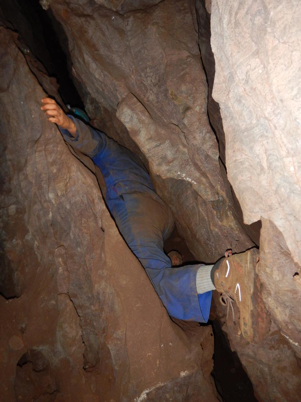 homo naledi leti rising star cave