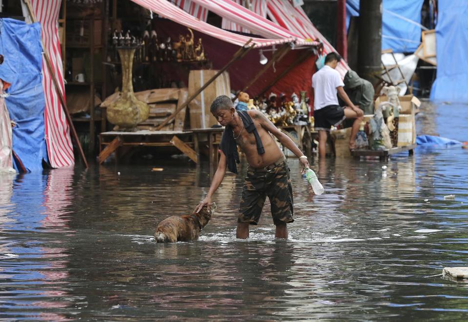 In this Thursday Dec. 29, 2016 photo, a man pets a dog along a flooded street caused by rains from Typhoon Nock-Ten in Quezon city, north of Manila, Philippines. The powerful typhoon slammed into the eastern Philippines on Christmas Day, spoiling the biggest holiday in Asia's largest Catholic nation, where a governor offered roast pig to entice villagers to abandon family celebrations for emergency shelters. (AP Photo/Aaron Favila, File)