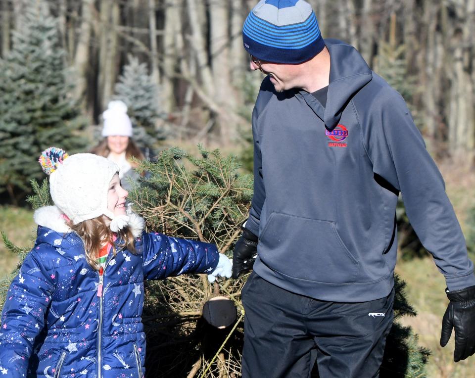 Gracie Haglock, 7, and her father, Kyle Haglock of North Canton, chat about the adventure while picking a tree at Moore's Christmas Tree Farm in Hartville.