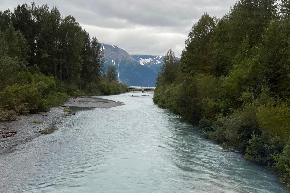 trees parting to reveal mountains ahead over water