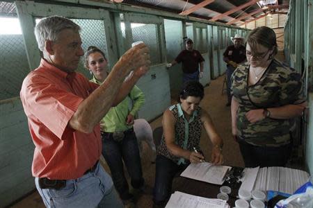 Veterinarian Dick Sheppard (L) of Argyle, Texas labels a urine sample for drug testing from the sheep of Sierra Martin as her mother Rae Ann Martin, both of Mason, Texas, signs forms and Susanne Weese, also of Argyle, watches at the State Fair of Texas in Dallas, Texas October 2, 2013. For more than a century, ranchers and their kids have paraded cattle around the dusty show ring at the State Fair of Texas in Dallas, in a rite of passage that is part farm economics, part rural theater. Today, with U.S. auction prices for champion cattle topping $300,000 a head and hefty scholarship checks for winners at stake, the competitive pressures are intense. Many animals get muscle-building livestock drugs added into animal feed. Picture taken October 2, 2013. REUTERS/Mike Stone