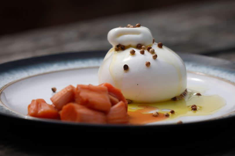 Burrata with rhubarb at the Harley Cafe