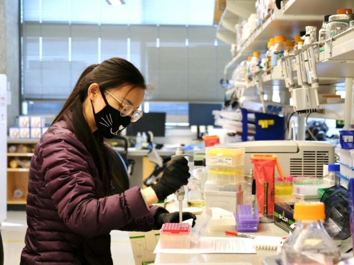 Un investigador que lleva un abrigo acolchado berenjena y una máscara de tela con una cara de gato trabaja en el laboratorio del Instituto de Diseño de Proteínas.