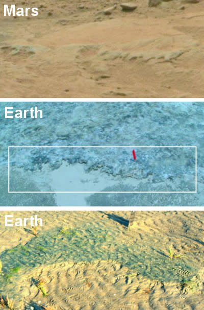 Potential signs of microbially-induced sedimentary structures (MISS) erosional remnant on Mars (top); edge of a microbial mat–overgrown erosional remnant on Portsmouth Island, USA (middle); erosional remnant of a modern MISS on Mellum Island, G