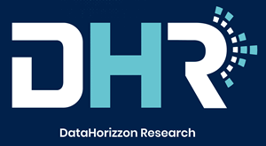 DataHorizzon Research